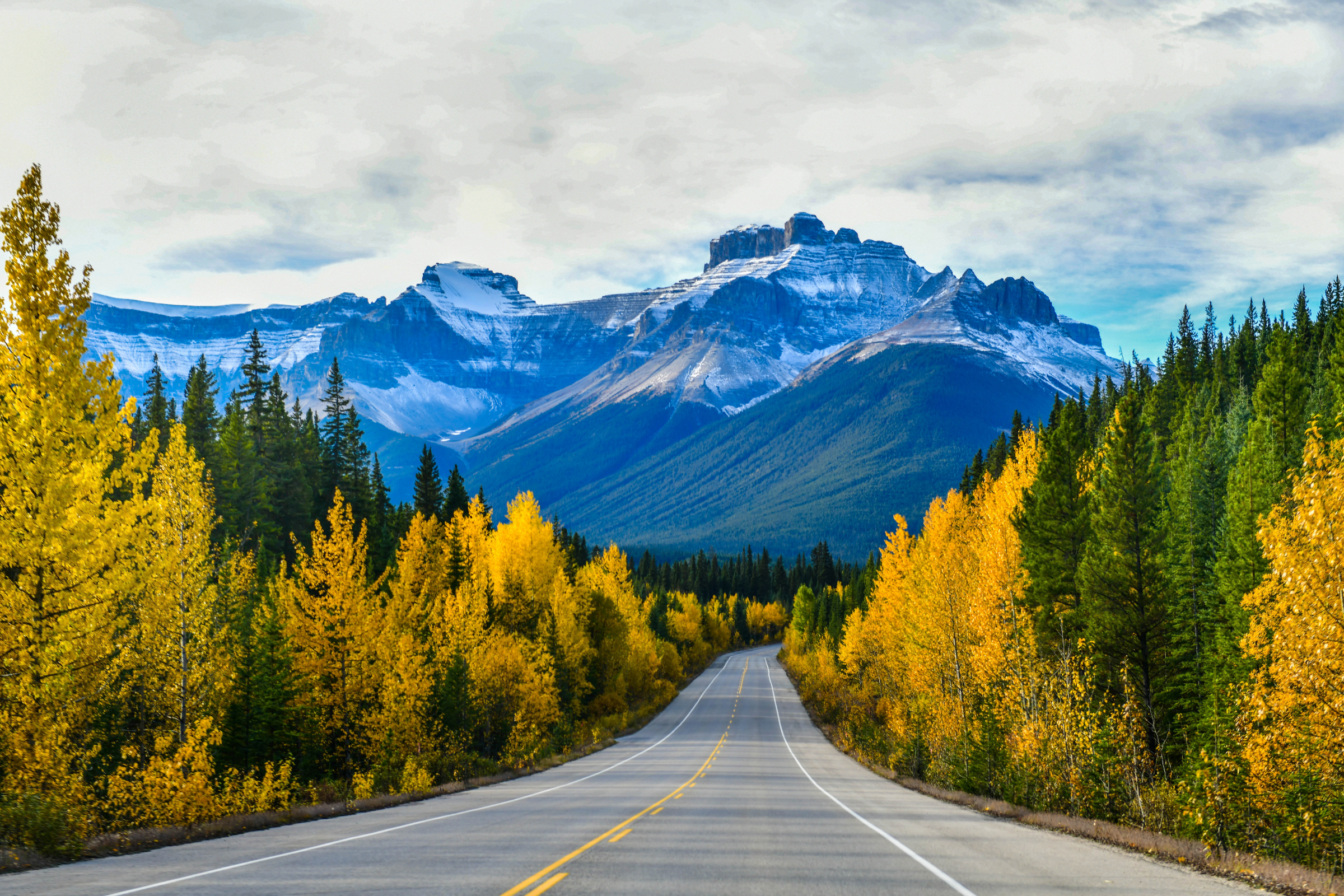 icefields parkway, alberta (2).webp